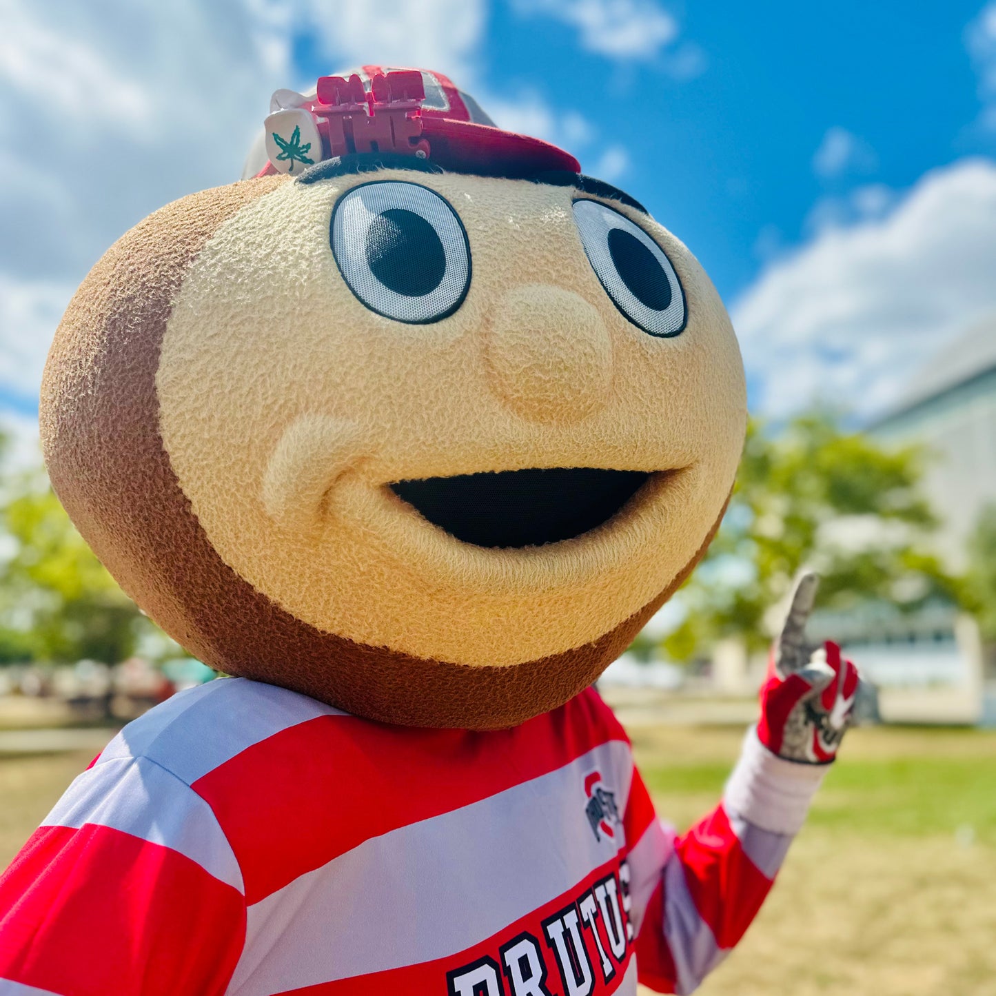 Ohio State Buckeyes Mascella 'THE' Scarlet Hair Claw - Brutus View