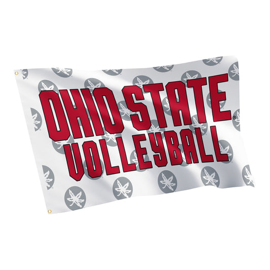 Ohio State Buckeyes Desert Cactus 3X5 Volleyball Flag In White - Front View