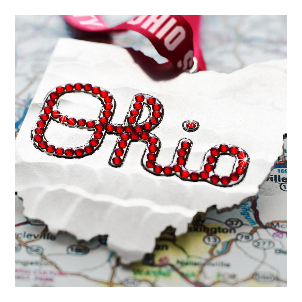 Ohio State University Twig and Berry wreath  Ohio state buckeyes gifts, Ohio  state baby, Ohio state ornaments