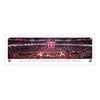 Ohio State Buckeyes Women's Basketball Unframed Panoramic Picture