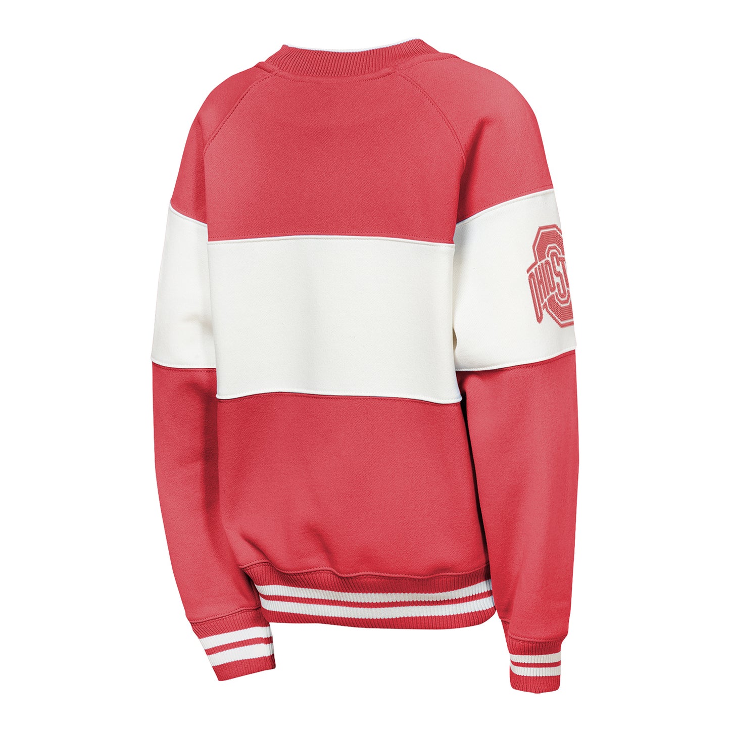 Youth Ohio State Buckeyes Colorblock Ribbed Crewneck - Back View