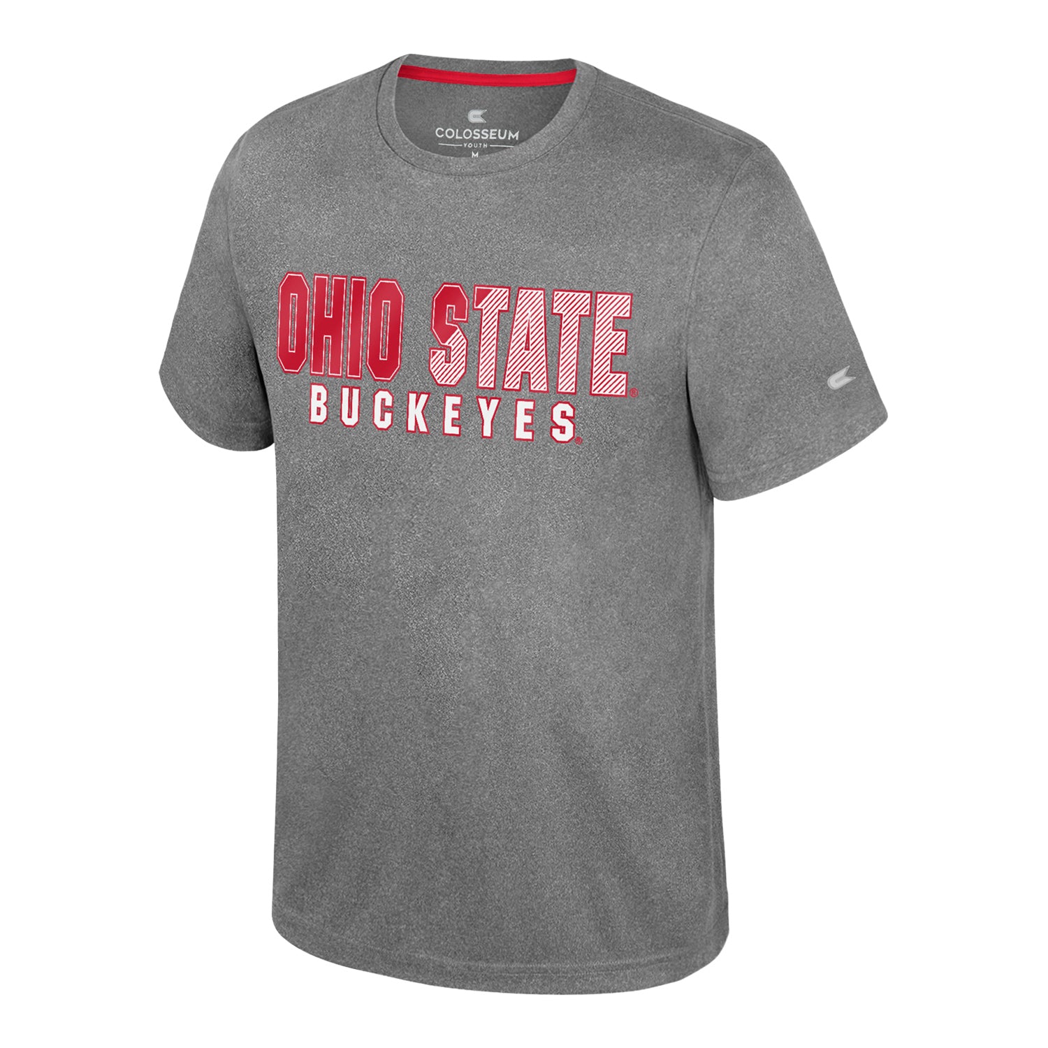 Youth Ohio State Buckeyes Ortiz Heather T-Shirt - Front View