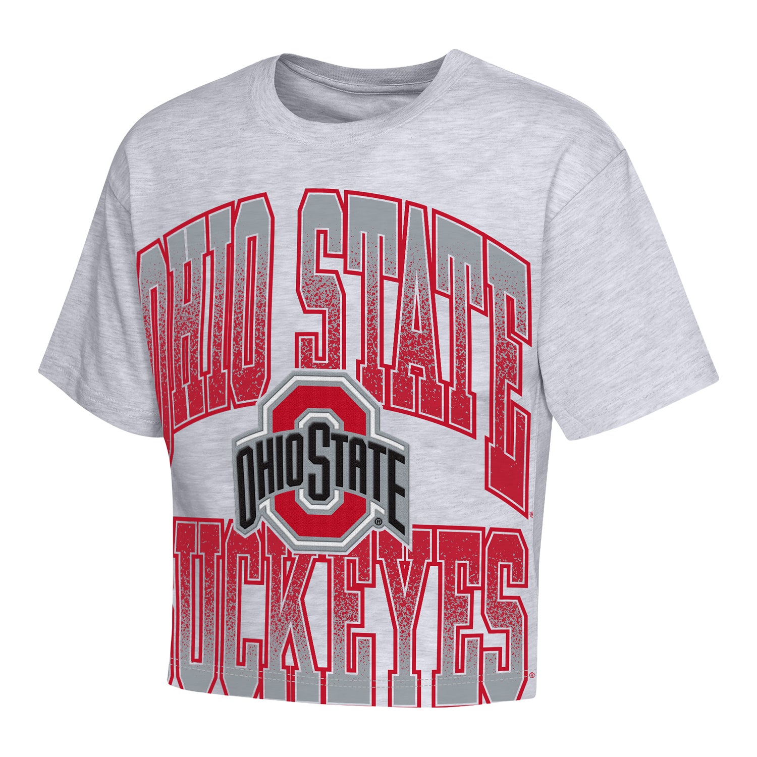 Youth Ohio State Buckeyes Big Team Energy T-Shirt - Front