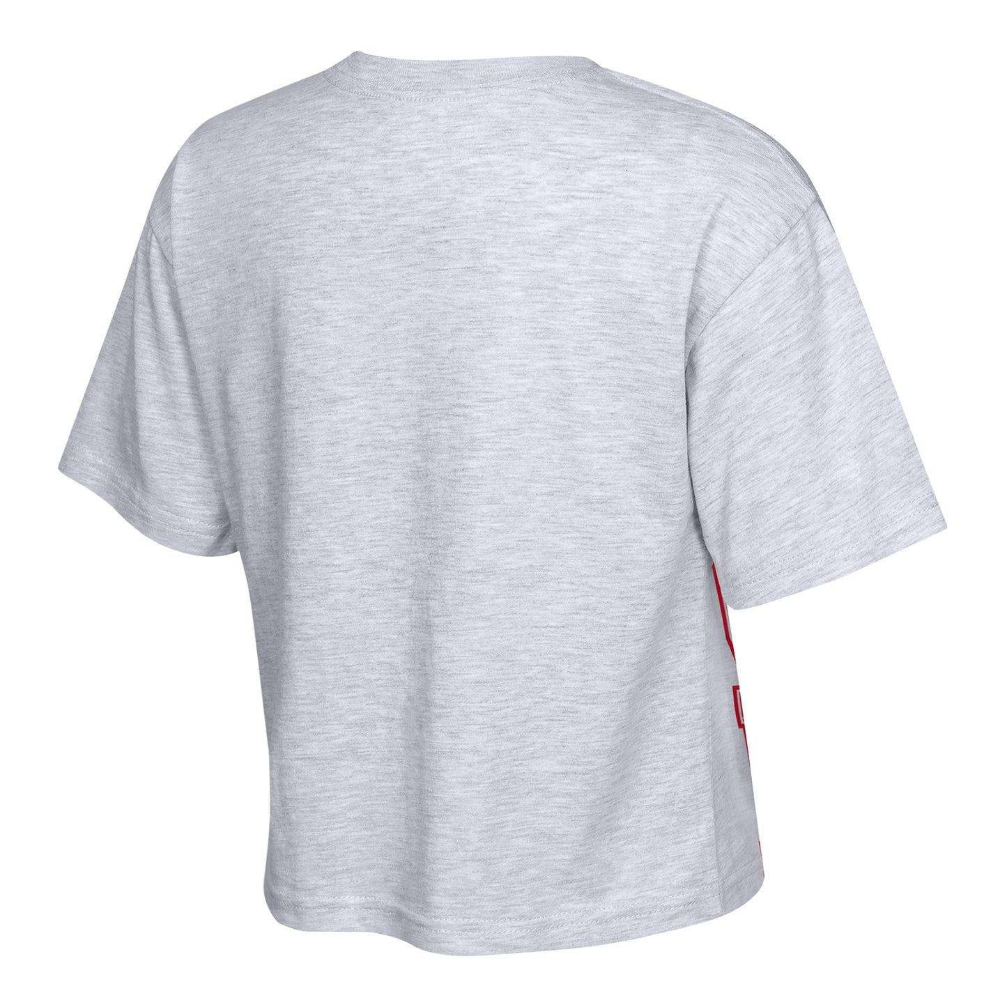 Youth Ohio State Buckeyes Big Team Energy T-Shirt - Back