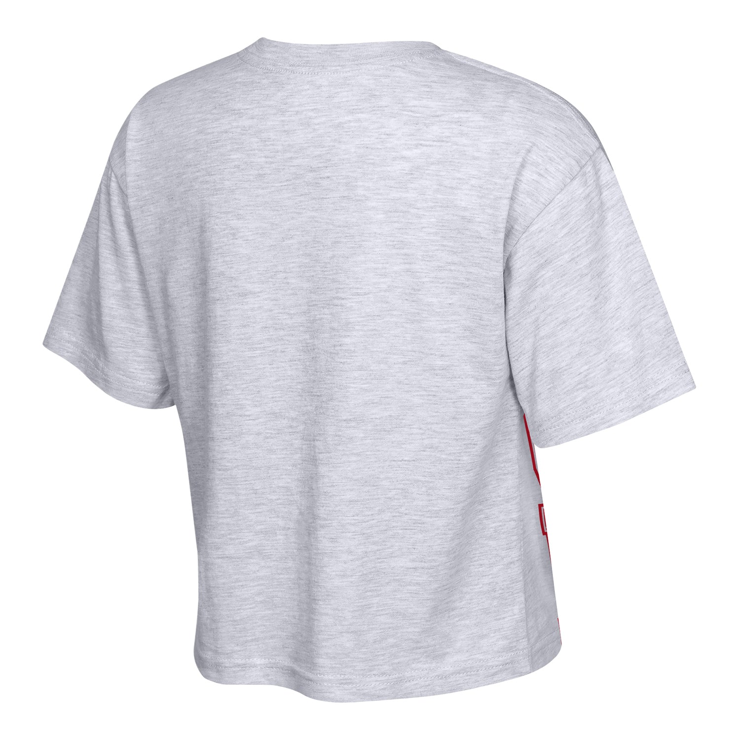 Youth Ohio State Buckeyes Big Team Energy T-Shirt - Back