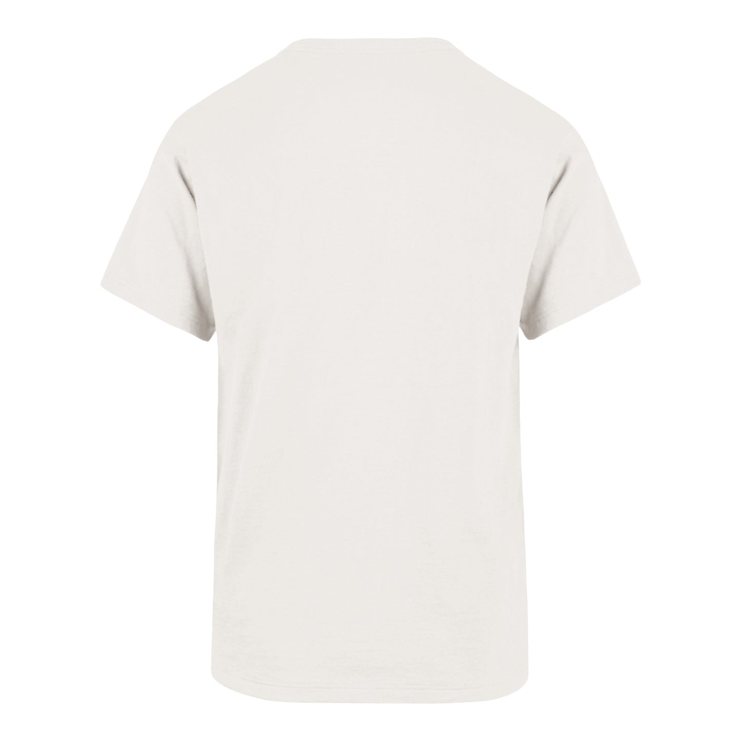 Youth Ohio State Buckeyes 47 Brand Franklin Streak T-Shirt - back