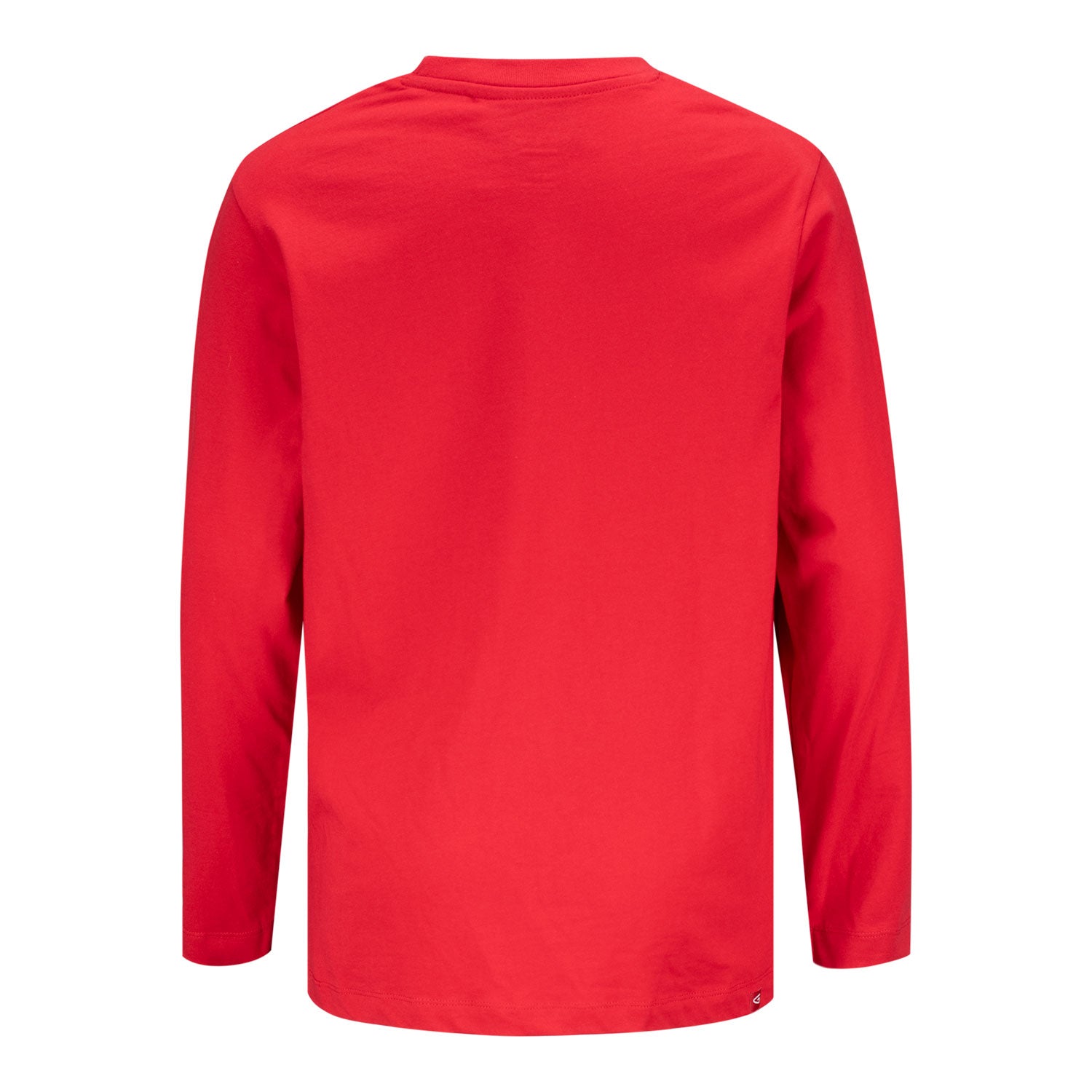 Ohio State Youth Long Sleeve Baseball Tee - Back