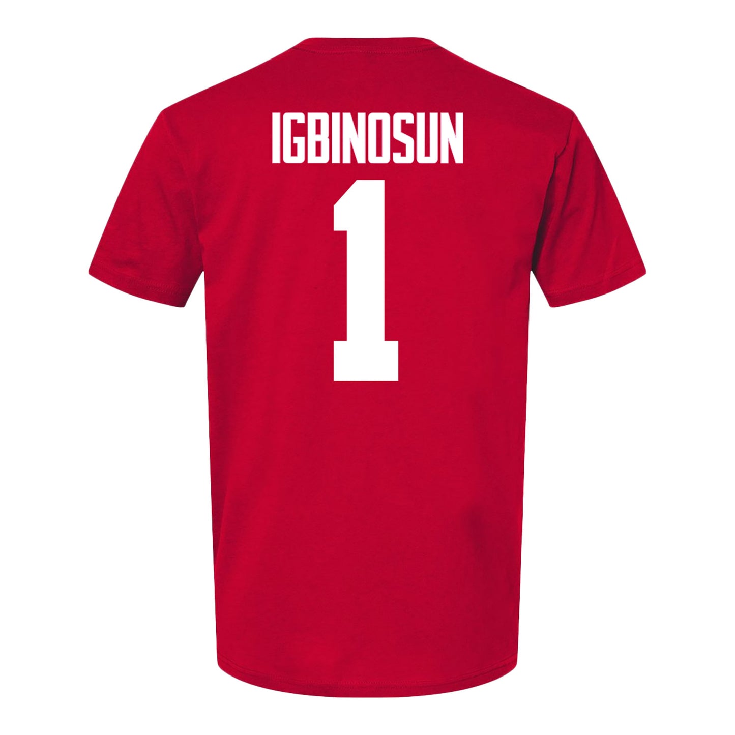 Ohio State Buckeyes Davison Igbinosun #1 Student Athlete T-Shirt - Back View