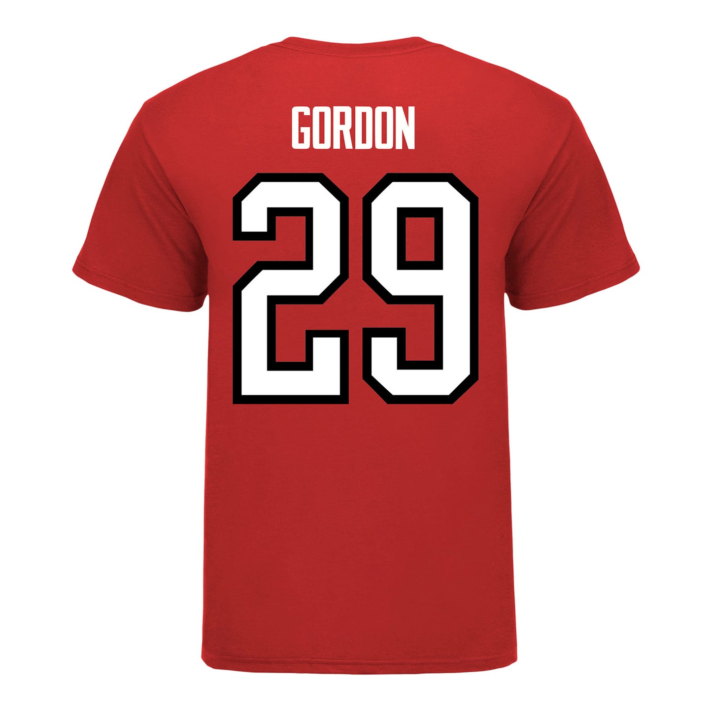 Ohio State Buckeyes Men's Hockey Student Athlete #29 Ryan Gordon T-Shirt - Back View