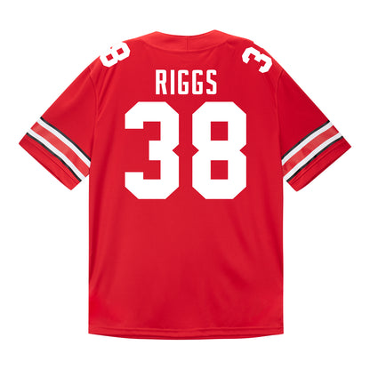 Ohio State Buckeyes Nike #38 Eli Riggs Student Athlete Scarlet Football Jersey In Scarlet - Back View