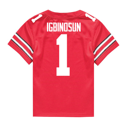 Ohio State Buckeyes Nike #20 Davison Igbinosun Student Athlete Scarlet Football Jersey - In Scarlet - Back View