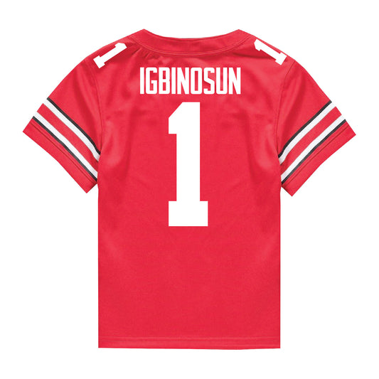 Ohio State Buckeyes Nike #20 Davison Igbinosun Student Athlete Scarlet Football Jersey - In Scarlet - Back View