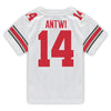 Ohio State Buckeyes Nike #14 Kojo Antwi Student Athlete White Football Jersey - In White - Back View