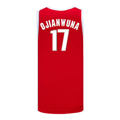 Ohio State Buckeyes #17 Josh Ojianwuna Student Athlete Basketball Jersey - Back View