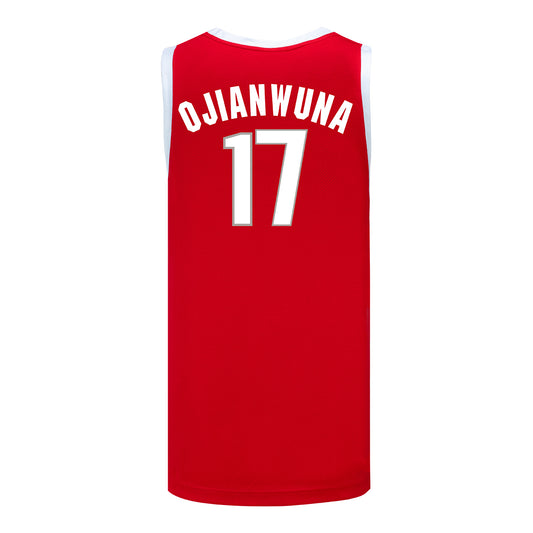 Ohio State Buckeyes #17 Josh Ojianwuna Student Athlete Basketball Jersey - Back View