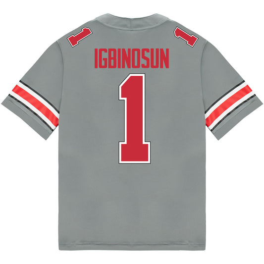 Ohio State Buckeyes Nike #1 Davison Igbinosun Student Athlete Gray Football Jersey - Back View