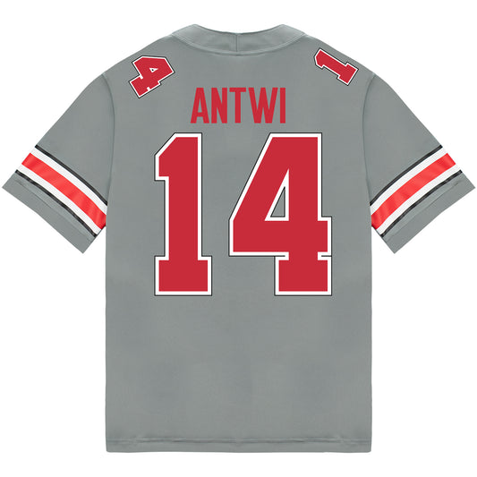 Ohio State Buckeyes Nike #14 Kojo Antwi Student Athlete Gray Football Jersey - Back View