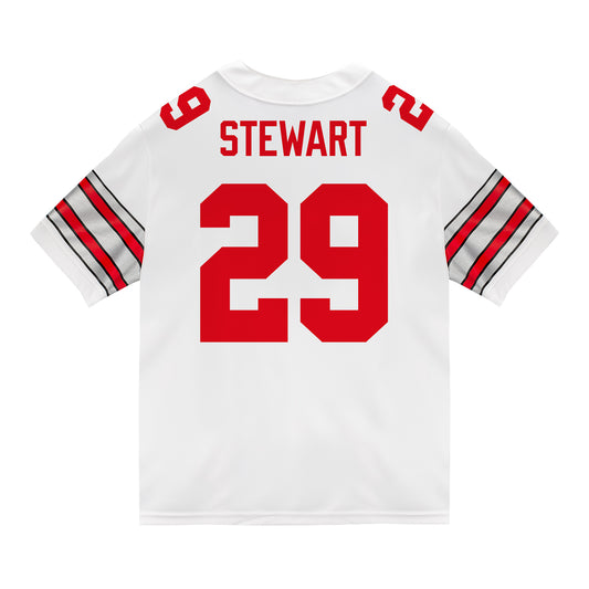 Ohio State Buckeyes Nike #29 Deshawn Stewart Student Athlete White Football Jersey