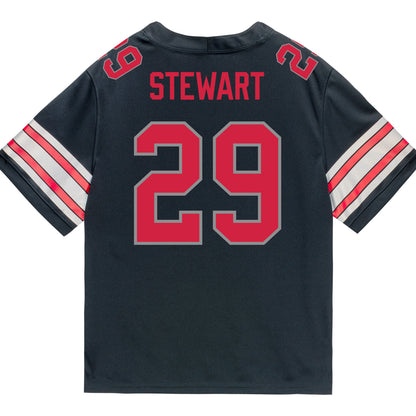 Ohio State Buckeyes Nike #29 Deshawn Stewart Student Athlete Black Football Jersey