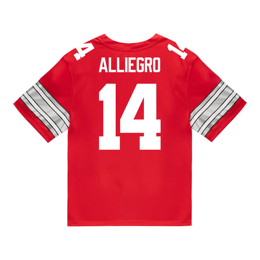 Ohio State Buckeyes Nike #14 Christian Alliegro Student Athlete Scarlet Football Jersey