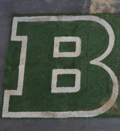 Ohio Stadium Official "B" BIG10 12'x15' ft Turf Cutout