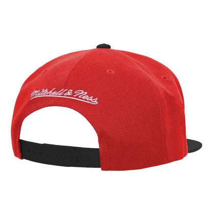 Ohio State Buckeyes Transcript Snapback Hat - Back View