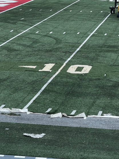 Ohio Stadium Official 10 Yard Line 6'x15' ft Turf Cutout