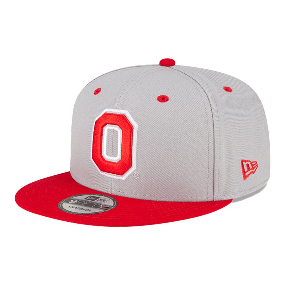 Ohio State Buckeyes Block O Buckeye Print Snapback Hat in Gray and Scarlet - Angled Left View