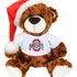 Ohio State Buckeyes Bella Holiday Brown Bear - Front View