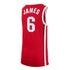Youth Ohio State Buckeyes Nike Limited James Scarlet #6 Jersey - Back View