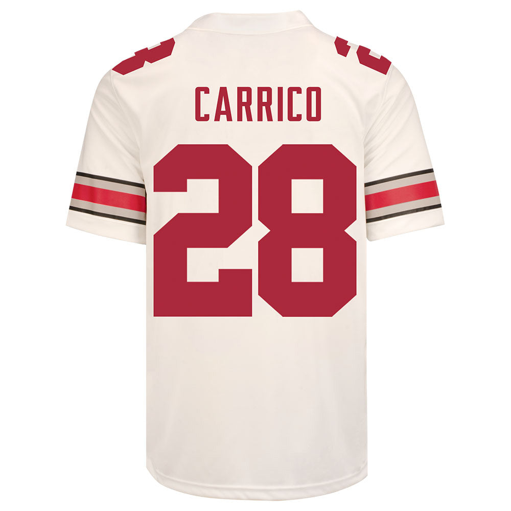 Ohio State Buckeyes Nike #28 Reid Carrico Student Athlete White Football Jersey / Large