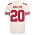 Ohio State Buckeyes Nike #20 Dominic DiMaccio Student Athlete White Football Jersey - Back View