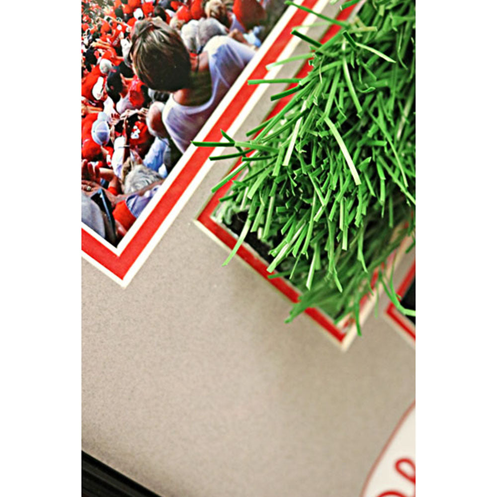 Ohio State Buckeyes TBDBITL Framed Collage with a Piece of Authentic Ohio Stadium Turf - Turf View