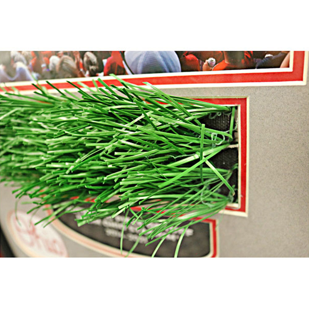 Ohio State Buckeyes TBDBITL Framed Collage with a Piece of Authentic Ohio Stadium Turf - Turf View