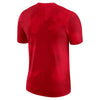 Ohio State Buckeyes Nike Campus Center Scarlet T-Shirt - Back View