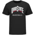 Ohio State Buckeyes Baseball Black T-Shirt- Front View